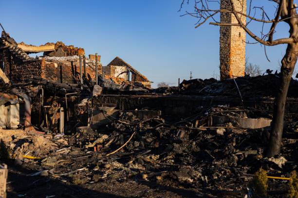 Reliable Content Restoration contractor in Tampa, FL by Fire Damage Doption